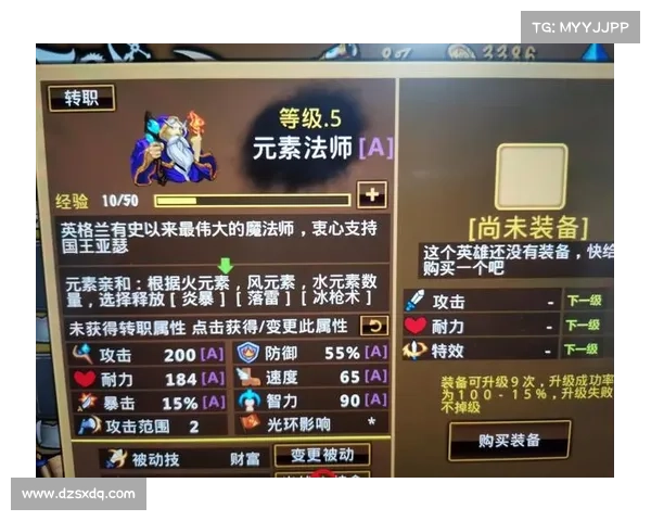 火炬之光2战士职业装备搭配五大策略与优化建议