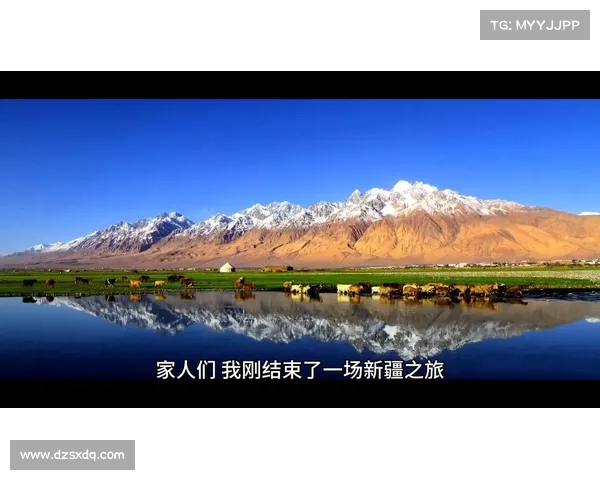 心灵之旅：在广袤荒漠中与自然和谐对话的深刻体验