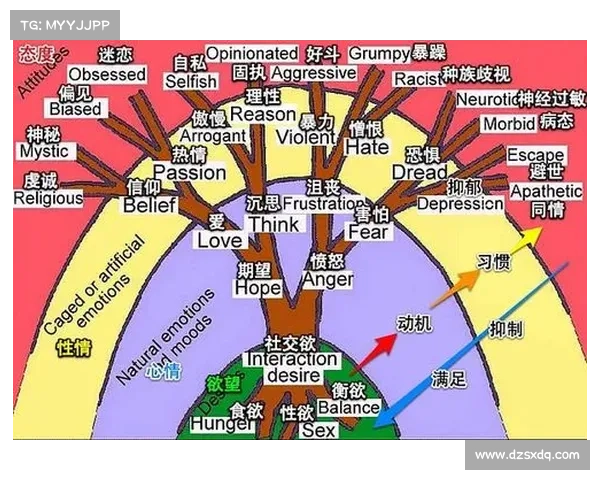 如何从心理学角度分析纳英戈兰的决策过程及其影响因素 如何从心理学角度分析纳英戈兰的决策过程及其影响因素