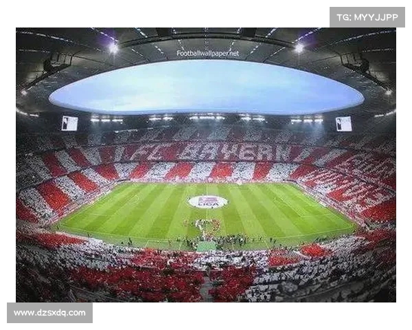 揭开拜仁体育场命名背后的五大故事与荣耀传承