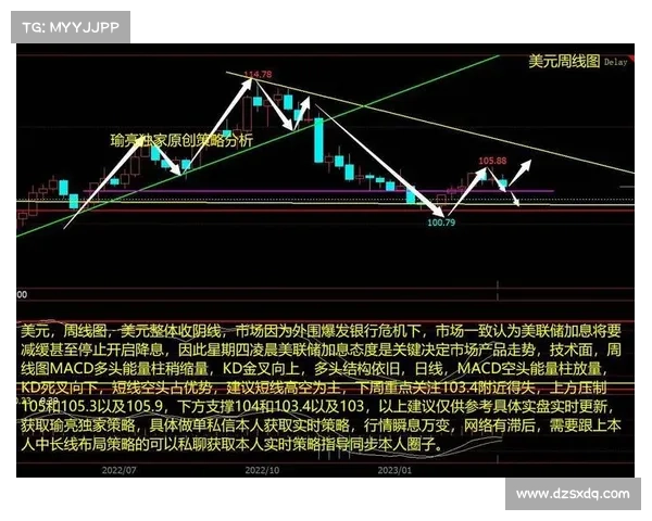 揭秘美国队晋级世界杯背后的战略布局与关键决策解析